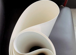 600宽白色输送带